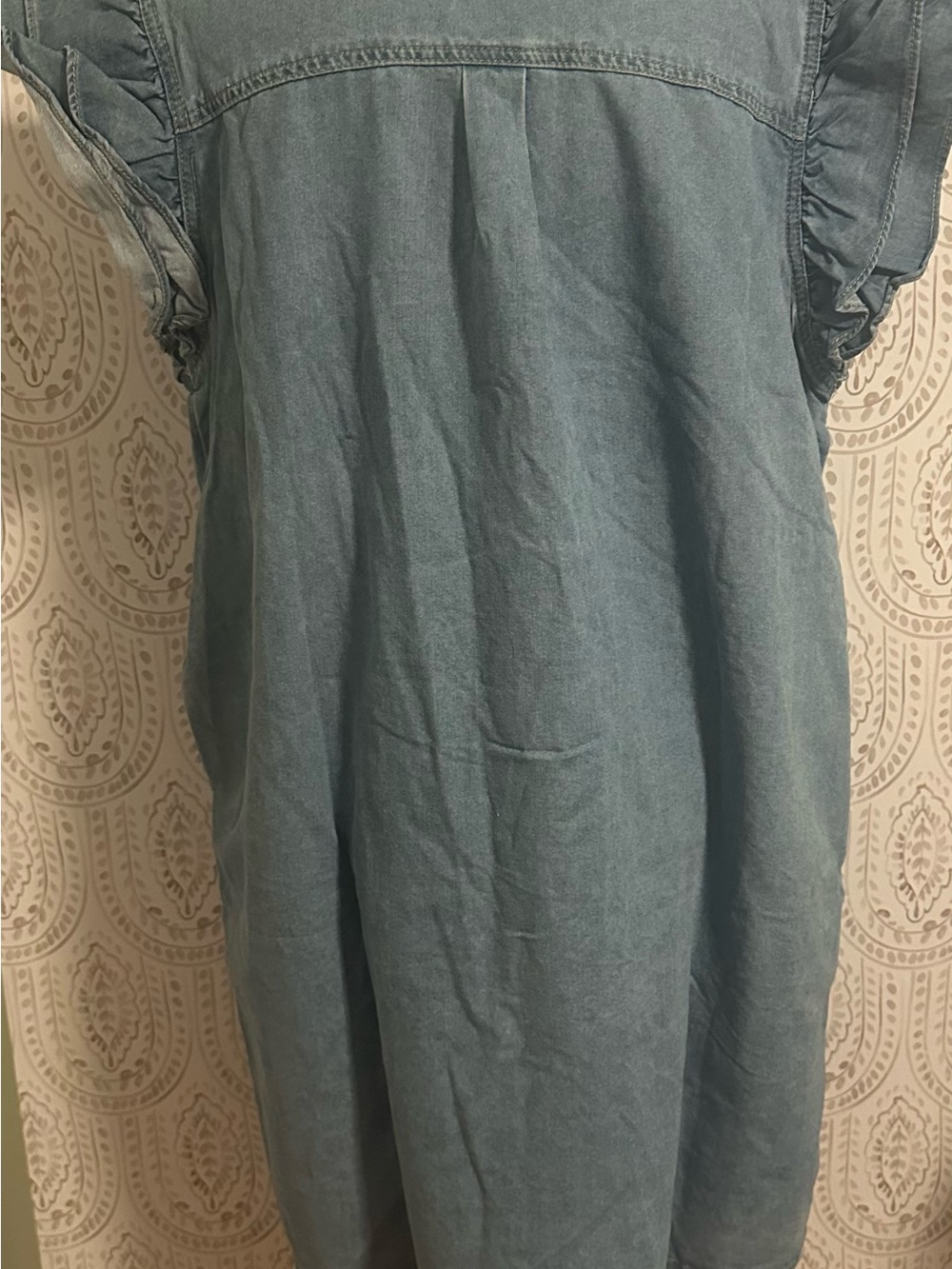 Women’s Ruffle-Trim Button Front Dress - Blue - Picture 3 of 4